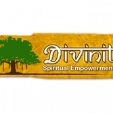 Divinity-logo